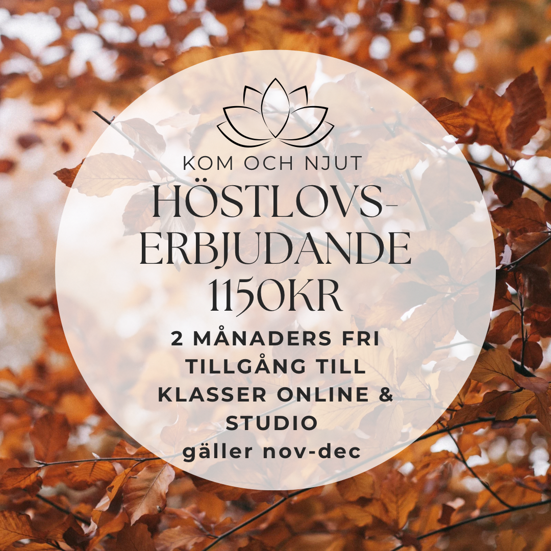 Höstlov på Hälsorummet 🍂